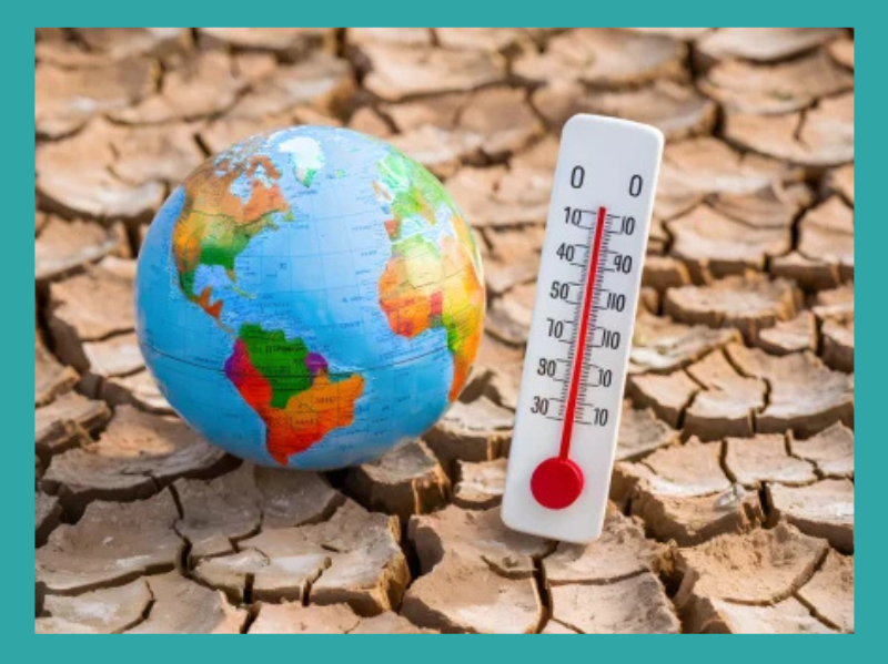 Film cách nhiệt Hàn Quốc - Ưu điểm, nhược điểm và top thương hiệu đáng mua