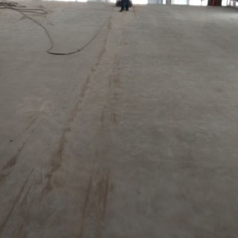 Nuôi Gà Trên Nền Xi Măng: Ưu và Nhược Điểm