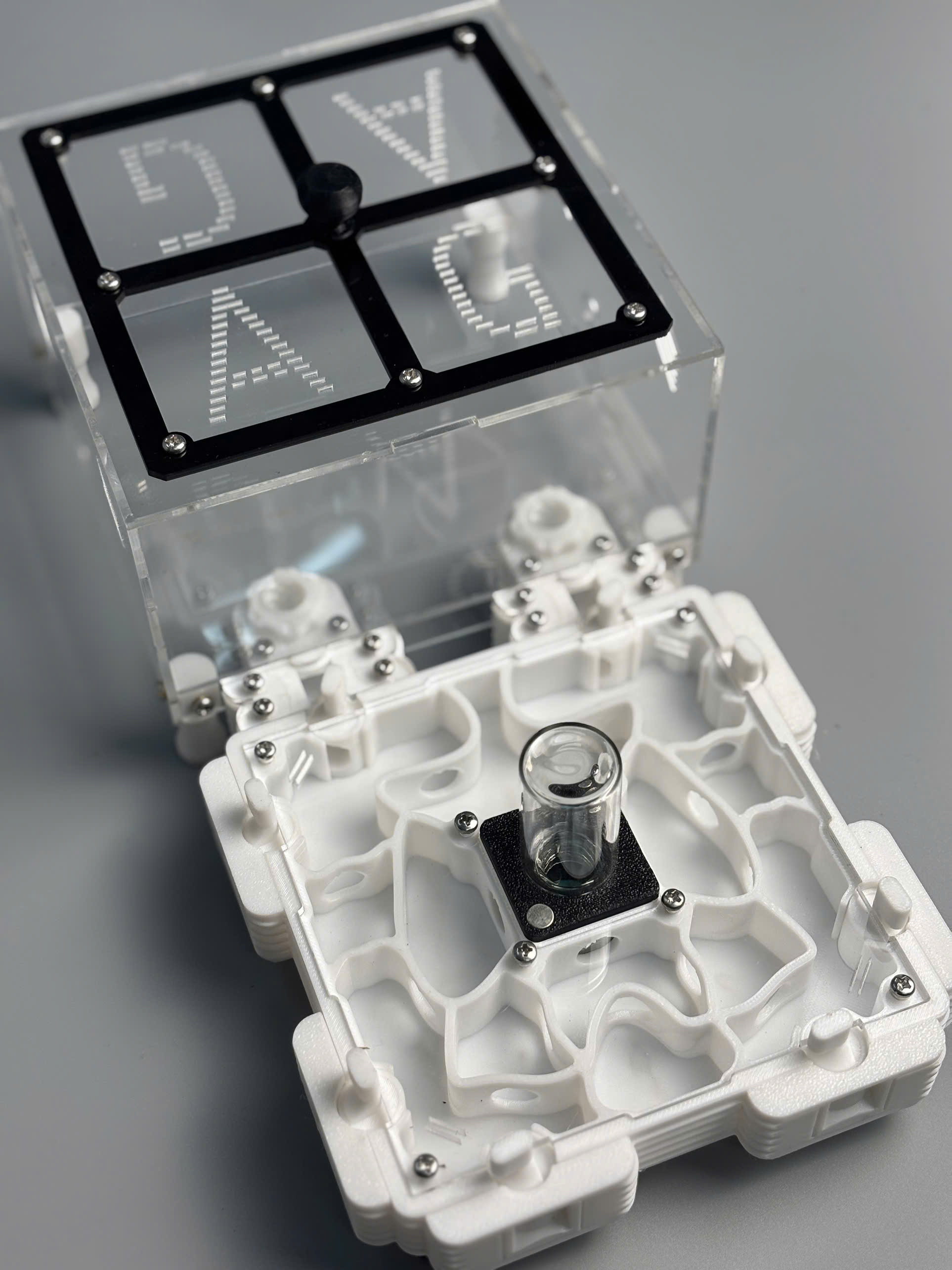 Tổ kiến Model A size L - In3D