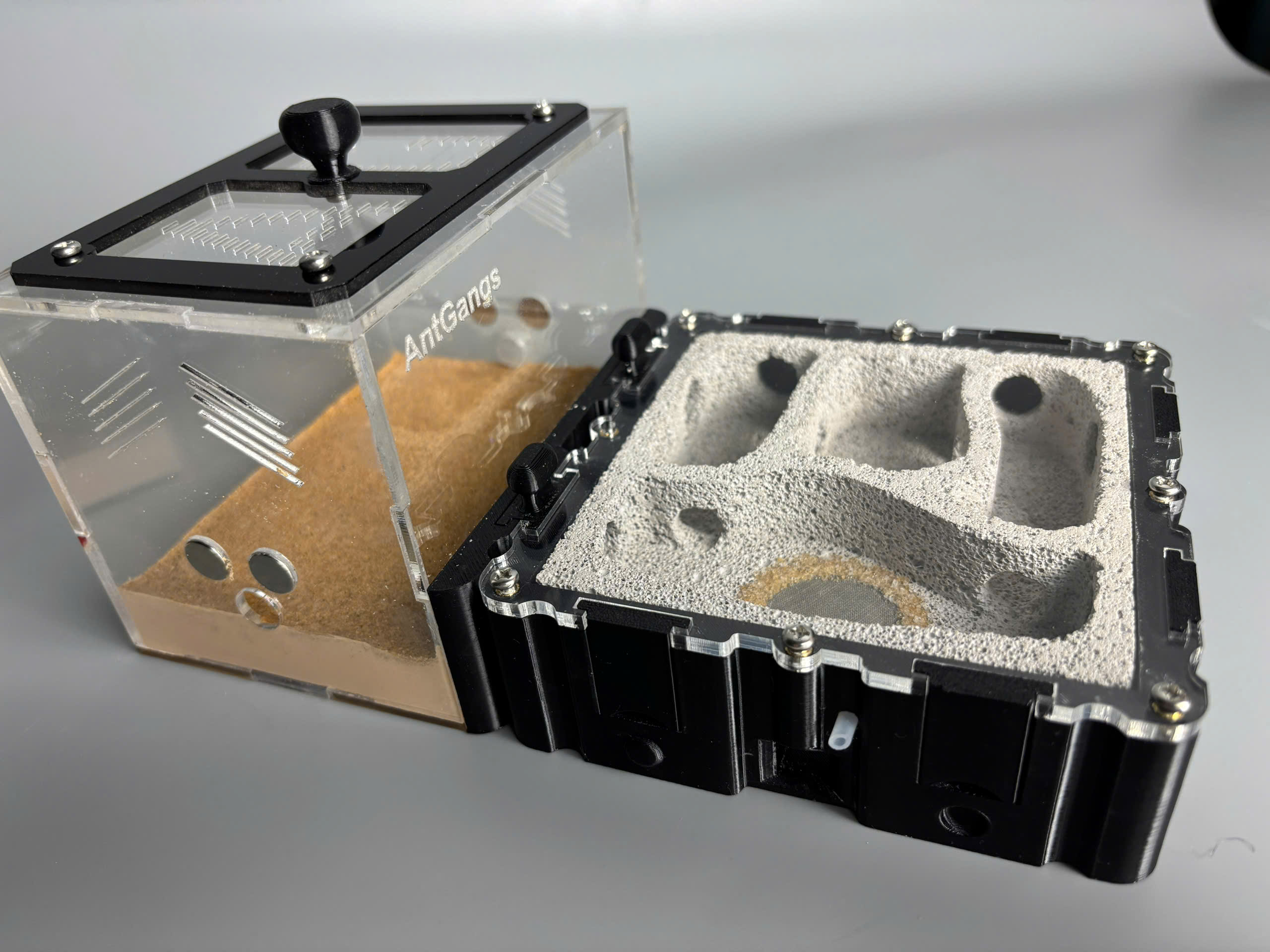 Tổ kiến Model B 20*10 - Tank In3d