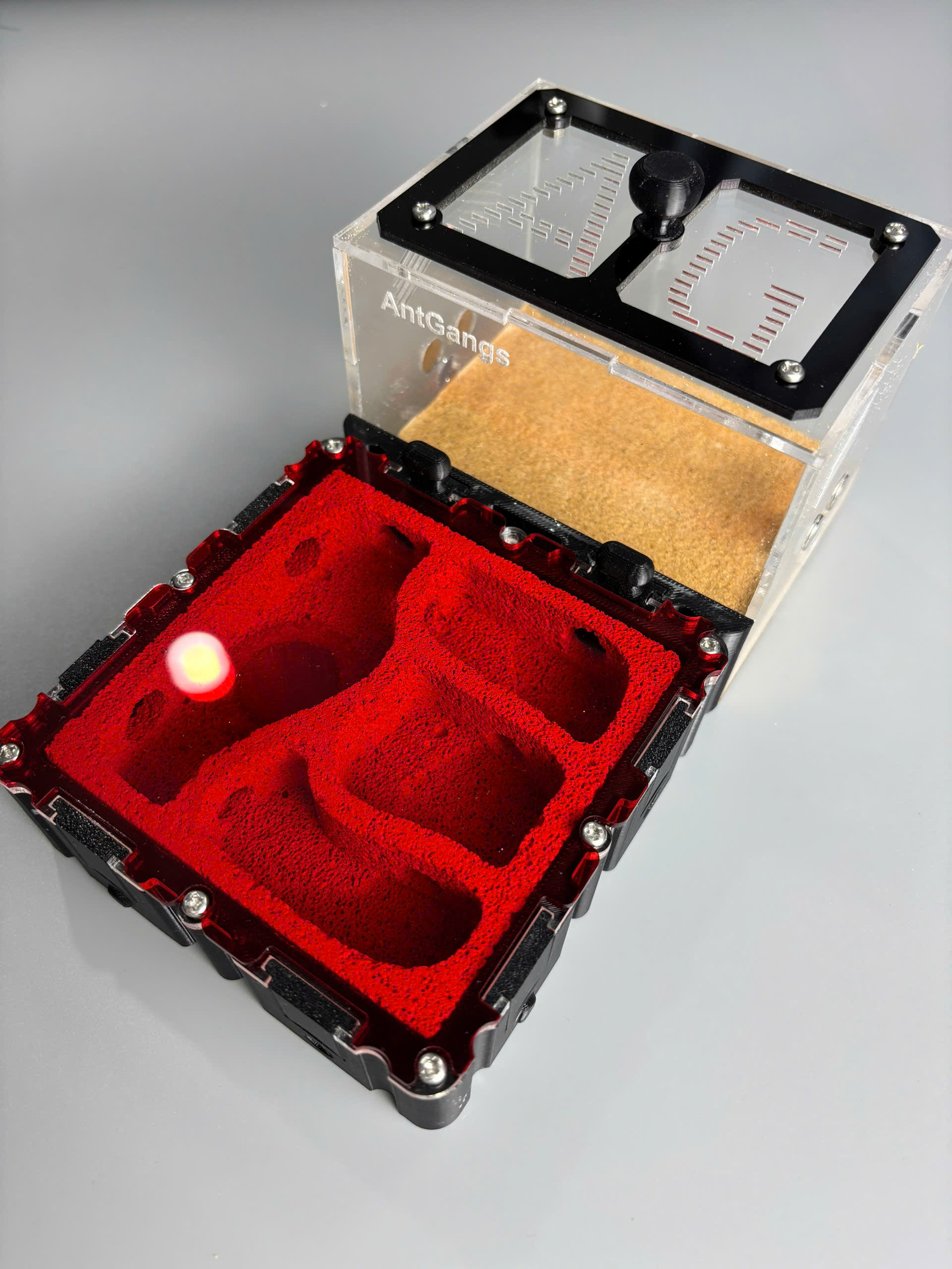 Tổ kiến Model B 20*10 - Tank In3d