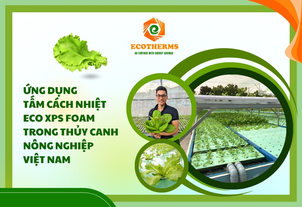 Ứng Dụng Tấm Cách Nhiệt ECO XPS Foam Trong Thủy Canh Nông Nghiệp Việt Nam