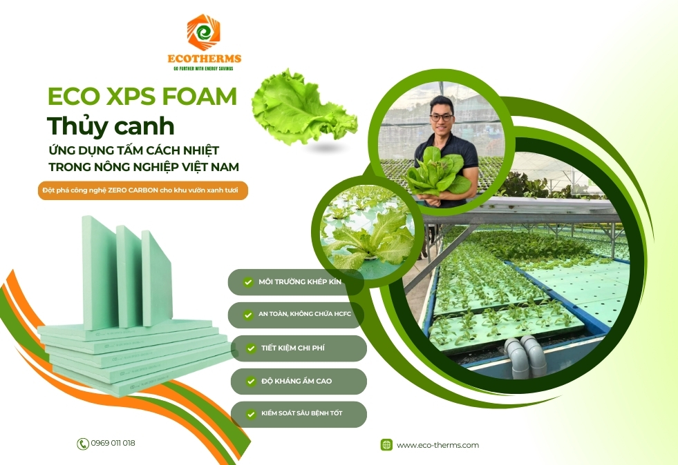 Vật liệu cách nhiệt ECO XPS FOAM giúp trồng cây trong môi trường thủy canh an toàn, bền vững và bảo vệ rễ cây khỏi thời tiết khắc nghiệt