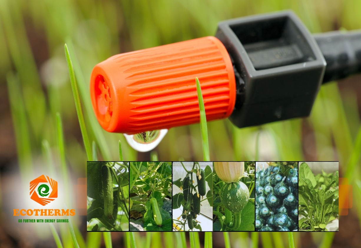 Một thẻ chú thích ảnh chuẩn SEO thường nằm trong khoảng 125 ký tự, ngắn gọn, súc tích, và bao gồm từ khóa chính liên quan. Dưới đây là bản rút gọn đáp ứng yêu cầu chuẩn SEO:  **"Tấm Bè Nổi ECO XPS FOAM cách nhiệt tốt, chống thấm nước, thân thiện môi trường, tăng năng suất trồng rau hiệu quả."**