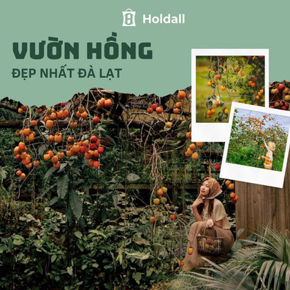 Điểm danh các vườn hồng ở Đà Lạt cực hot, nhiều trải nghiệm