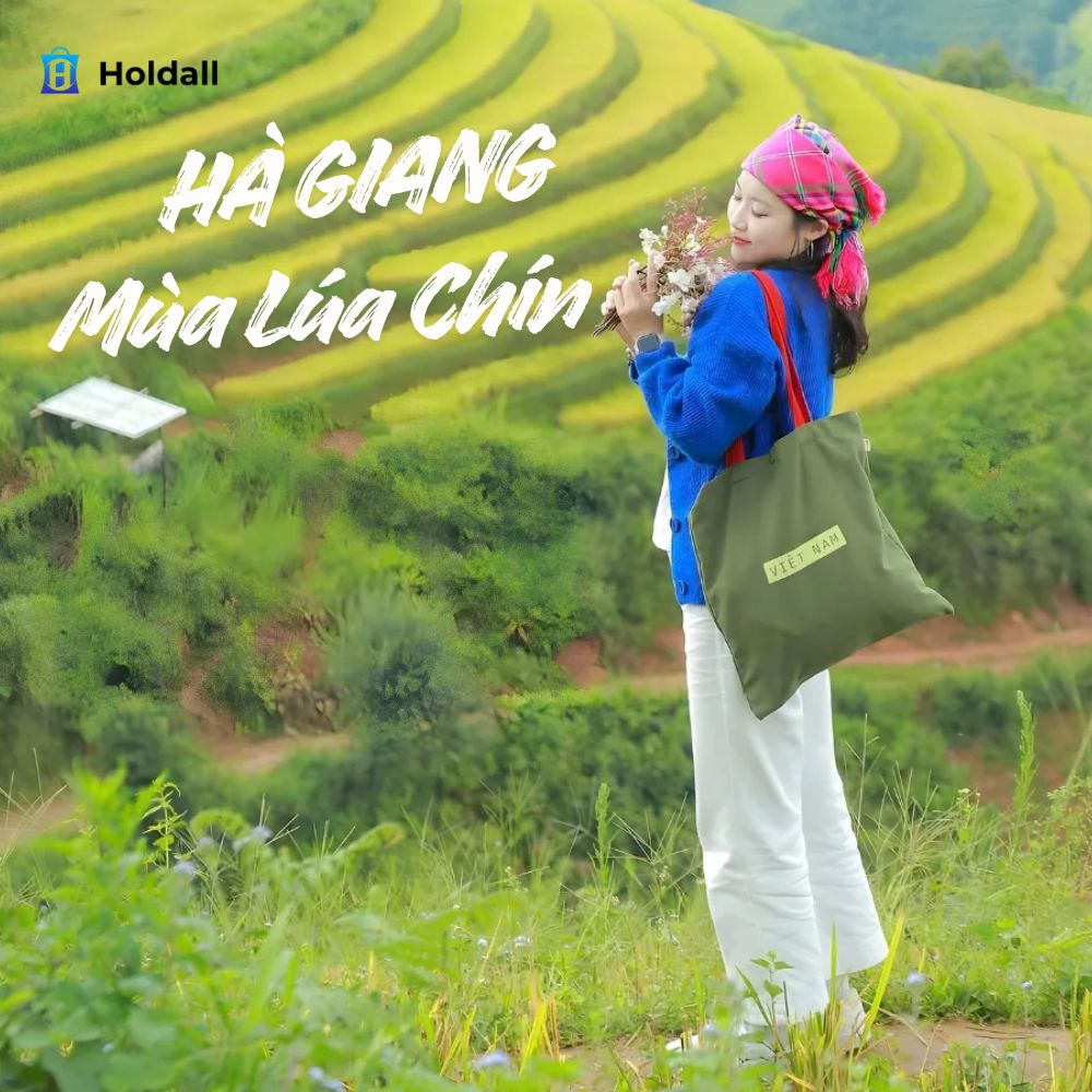 Hà Giang mùa lúa chín - Vẻ đẹp xao xuyến đầy thơ mộng và bình yên