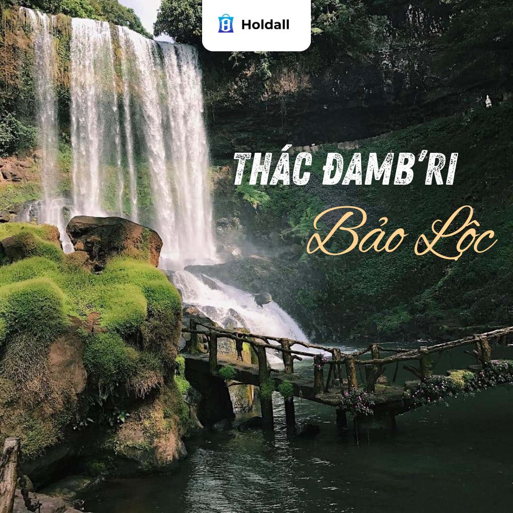 Thác Dambri Bảo Lộc: Địa điểm check-in nổi tiếng Lâm Đồng