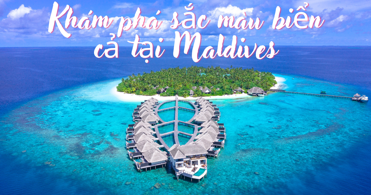 Khám phá sắc màu của biển cả tại Maldives Hành Trình 5N4Đ
