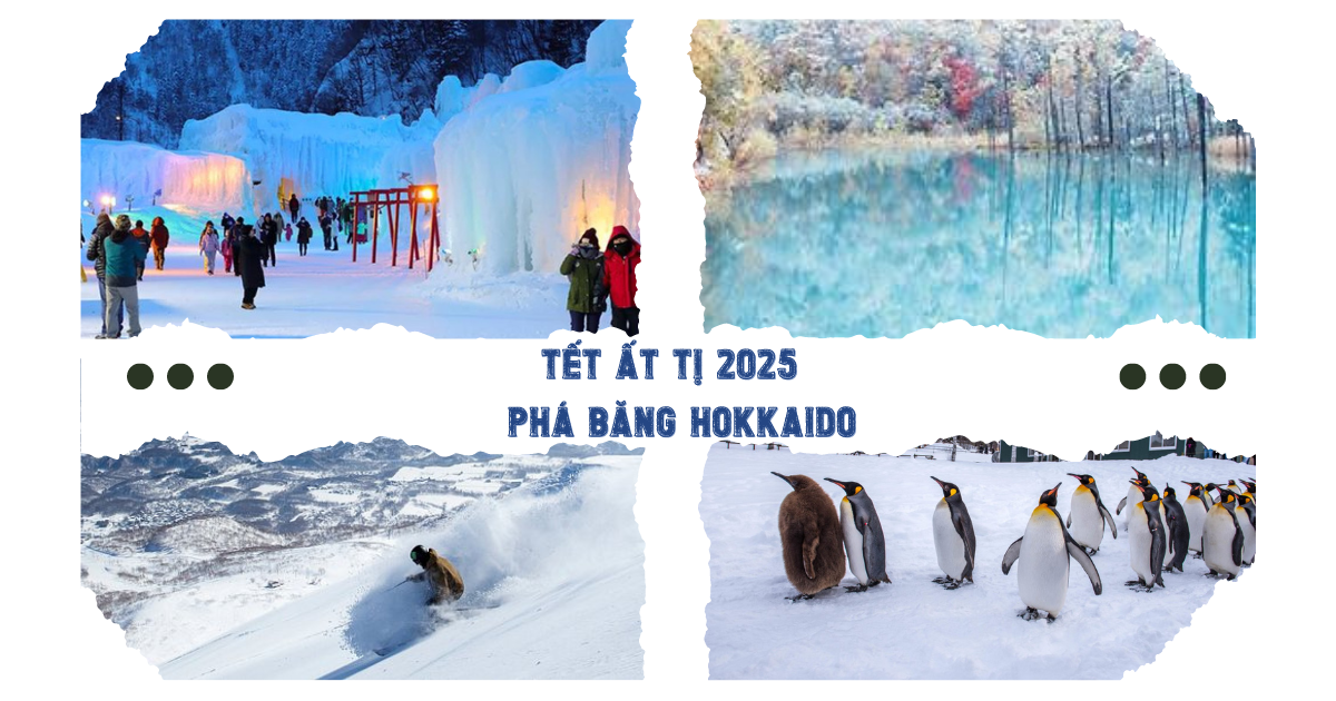 Tour Nhật Bản Phá Băng Hokkaido Hà Nội - Tàu Phá Băng Abashiri Drift Ice - Trượt tuyết Abashiri Lake View - Hồ Xanh Bie - Asahikawa Zoo - Shiroi Koibito - Sounkyo Onsen Ice Fall Festival 2025 6N5Đ