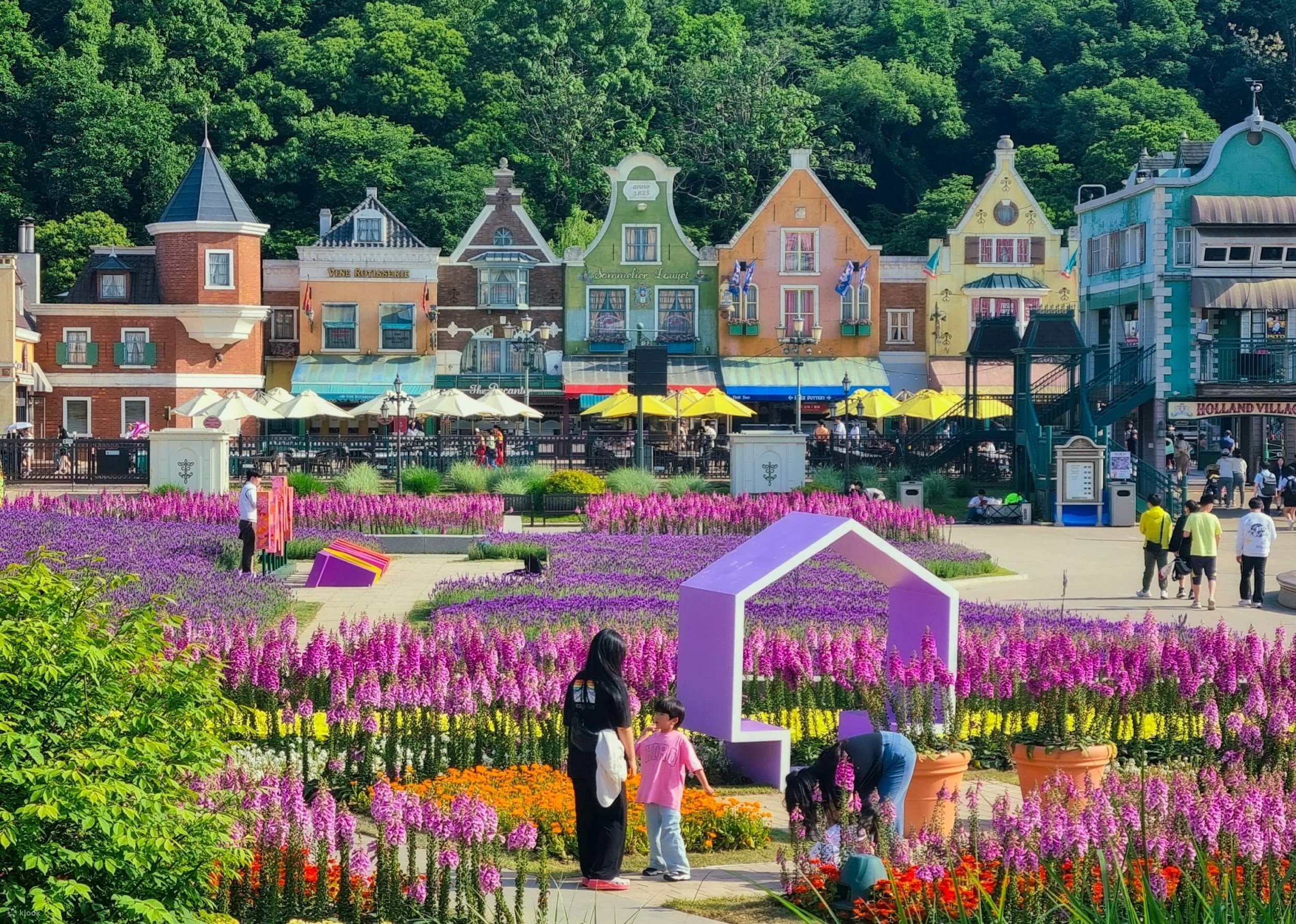 HÀ NỘI – SEOUL – NAMI – CÔNG VIÊN EVERLAND