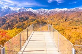 Tour Nhật Bản Mùa Thu 7N6Đ Hakuba - Kamikochi - Shirakawago - Phú Sĩ