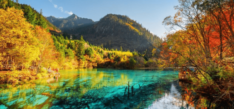 TOUR HÀ NỘI – THÀNH ĐÔ – ĐÔ GIANG YỂN - CÔNG VIÊN GẤU TRÚC – CỬU TRẠI CÂU 6N5Đ - BAY VN