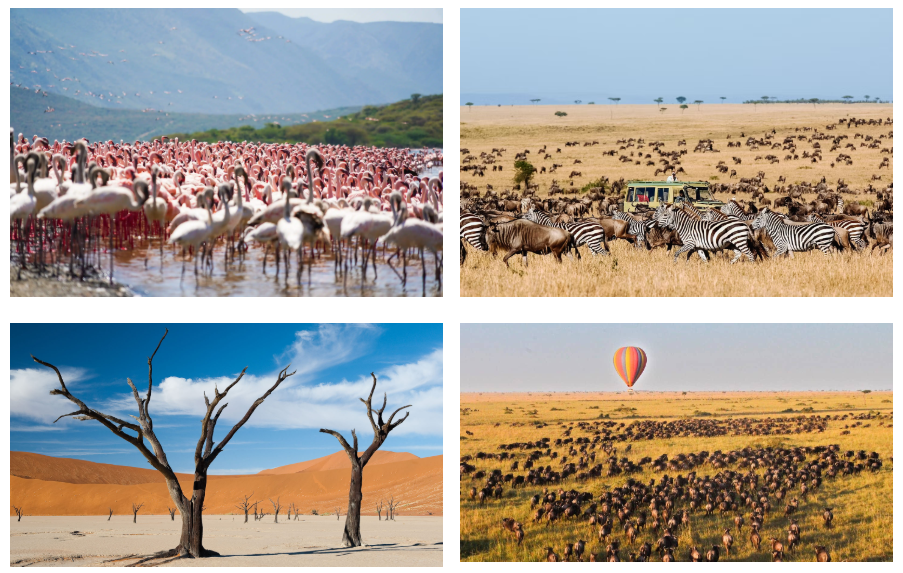 Trải Nghiệm Vĩ Đại Kenya Namibia