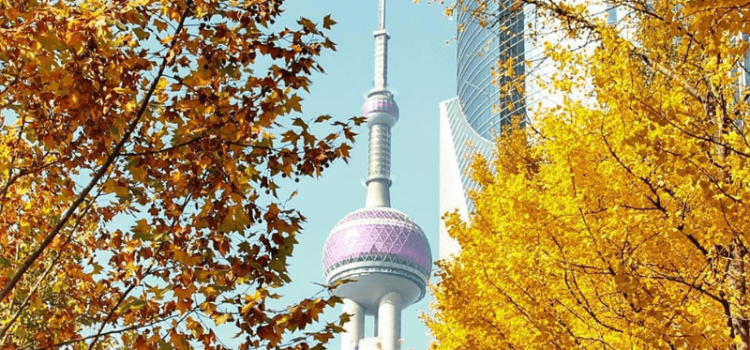 TOUR: THƯỢNG HẢI – TÂY Ô TRẤN – HÀNG CHÂU – BẮC KINH 7N6Đ - BAY AIR MACAU