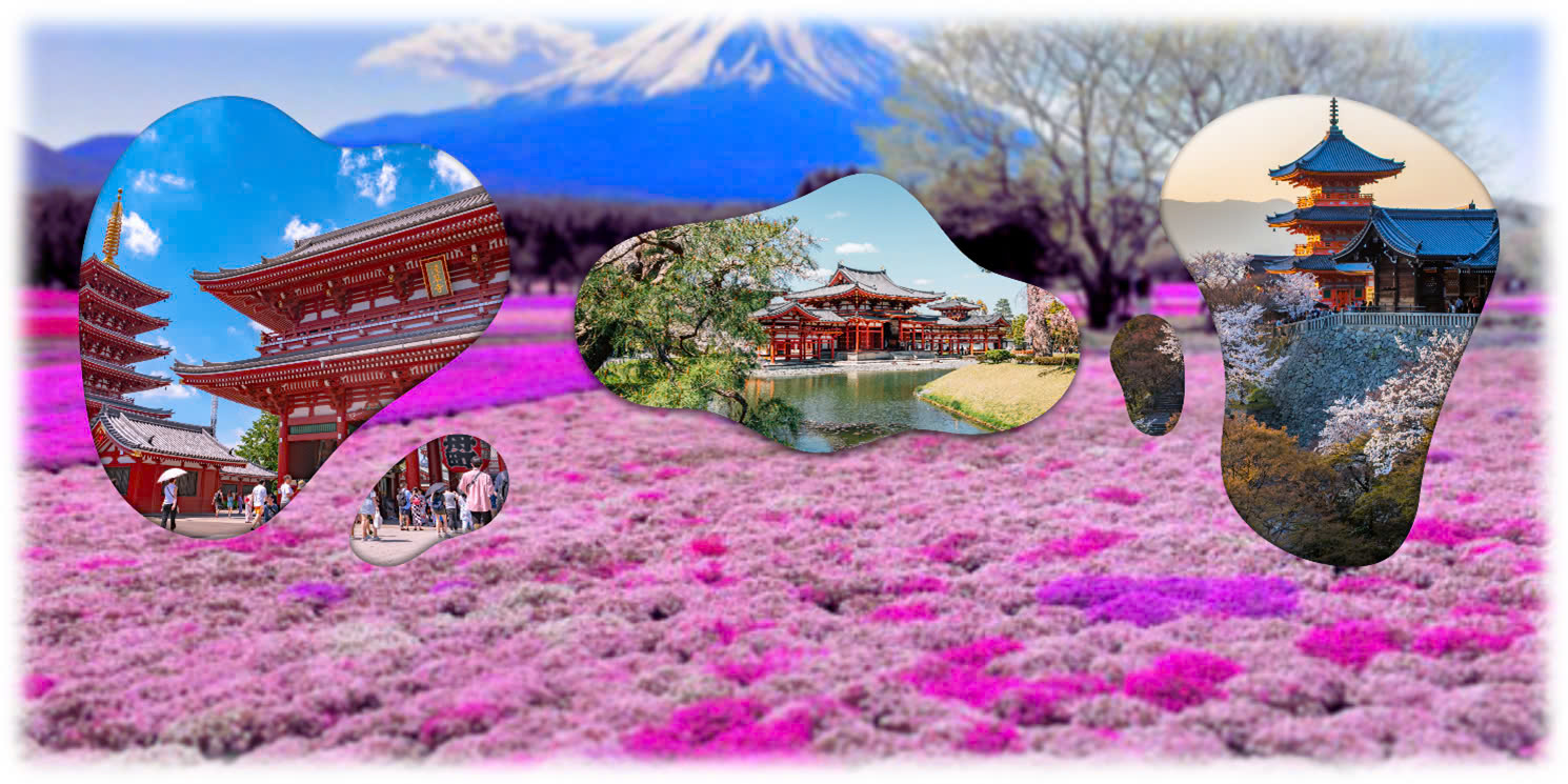 NHẬT BẢN MÙA HOA ANH ĐÀO 2025 TOKYO - NÚI PHÚ SĨ - KARUIZAWA - NAGANO - HAKUBA HARBOR - ASAHI FUNAGAWA BỘ TỨ MÙA XUÂN- KANAZAWA - SHIRAKAWAGO - CỐ ĐÔ KYOTO - LÂU ĐÀI OSAKA 6N5Đ