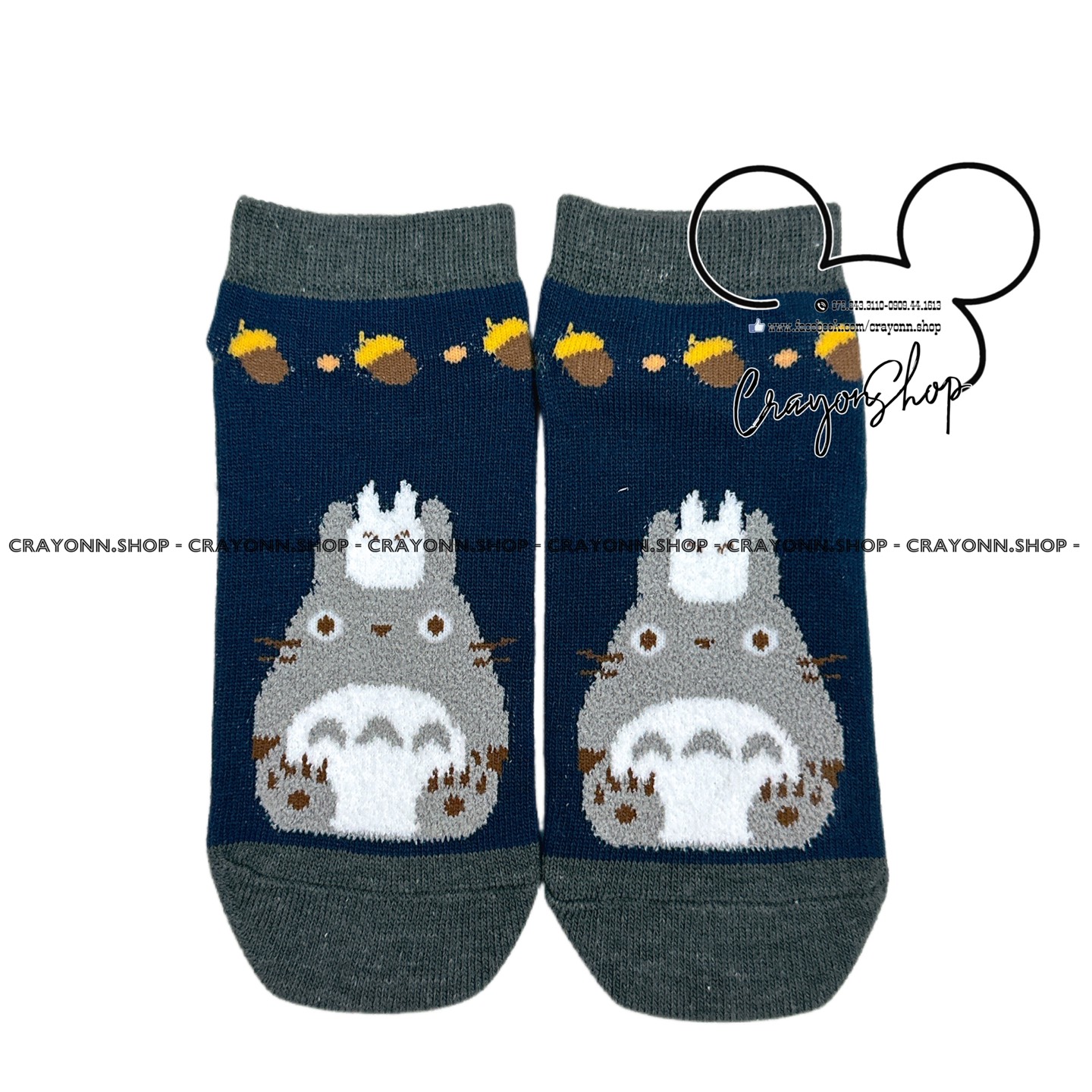 Totoro Socks