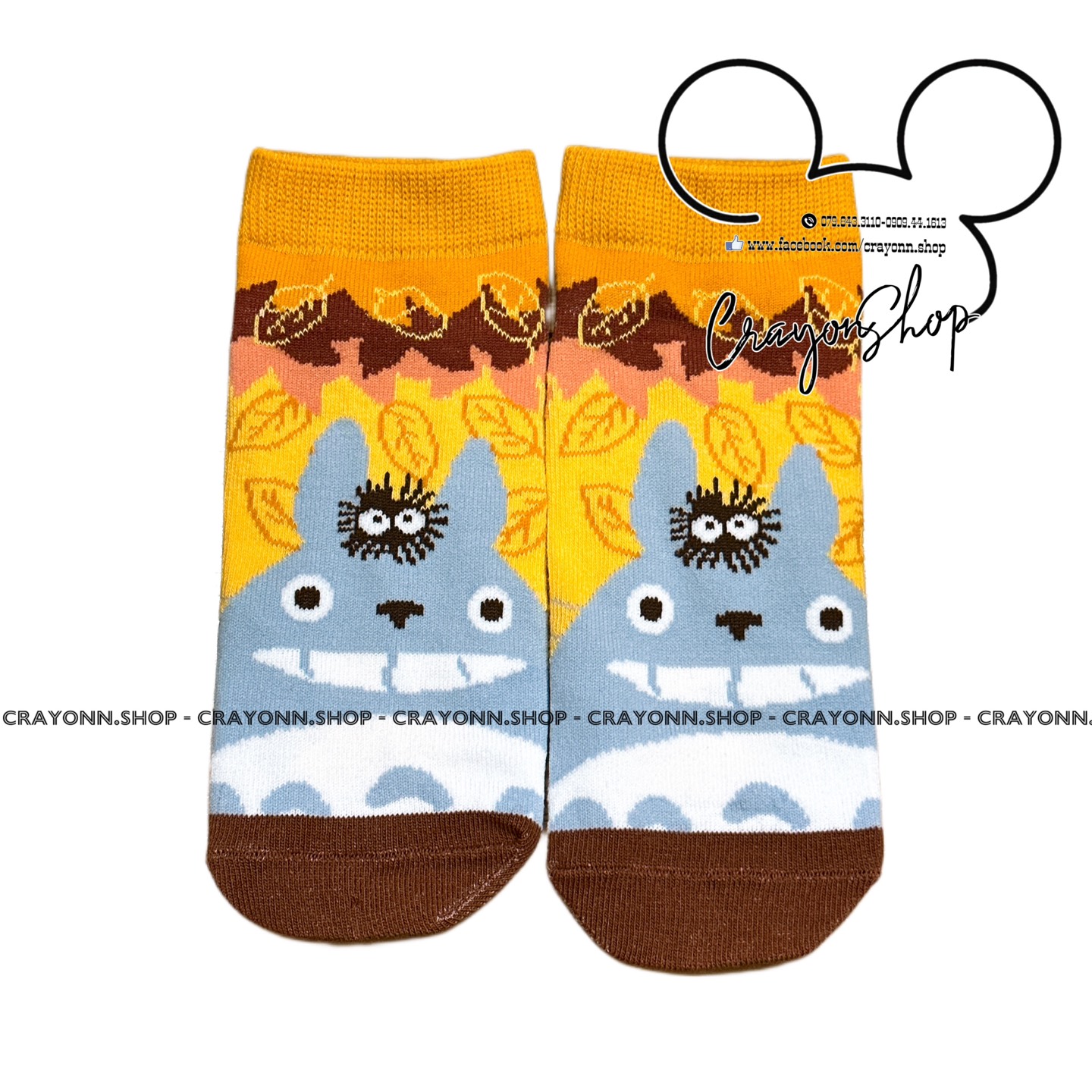 Totoro Socks