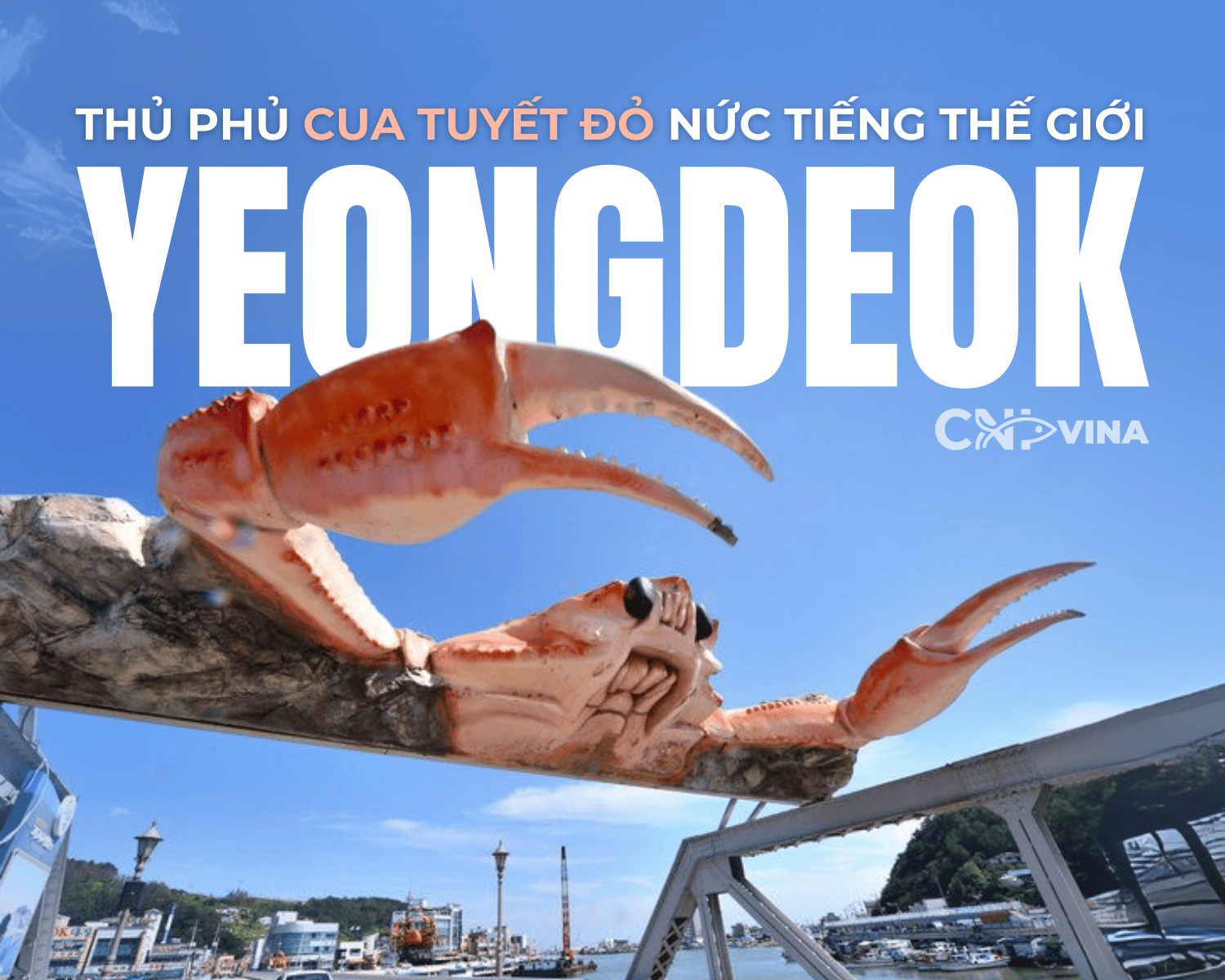 Khám Phá Yeongdeok - Thủ Phủ Cua Tuyết Đỏ Nức Tiếng Thế Giới