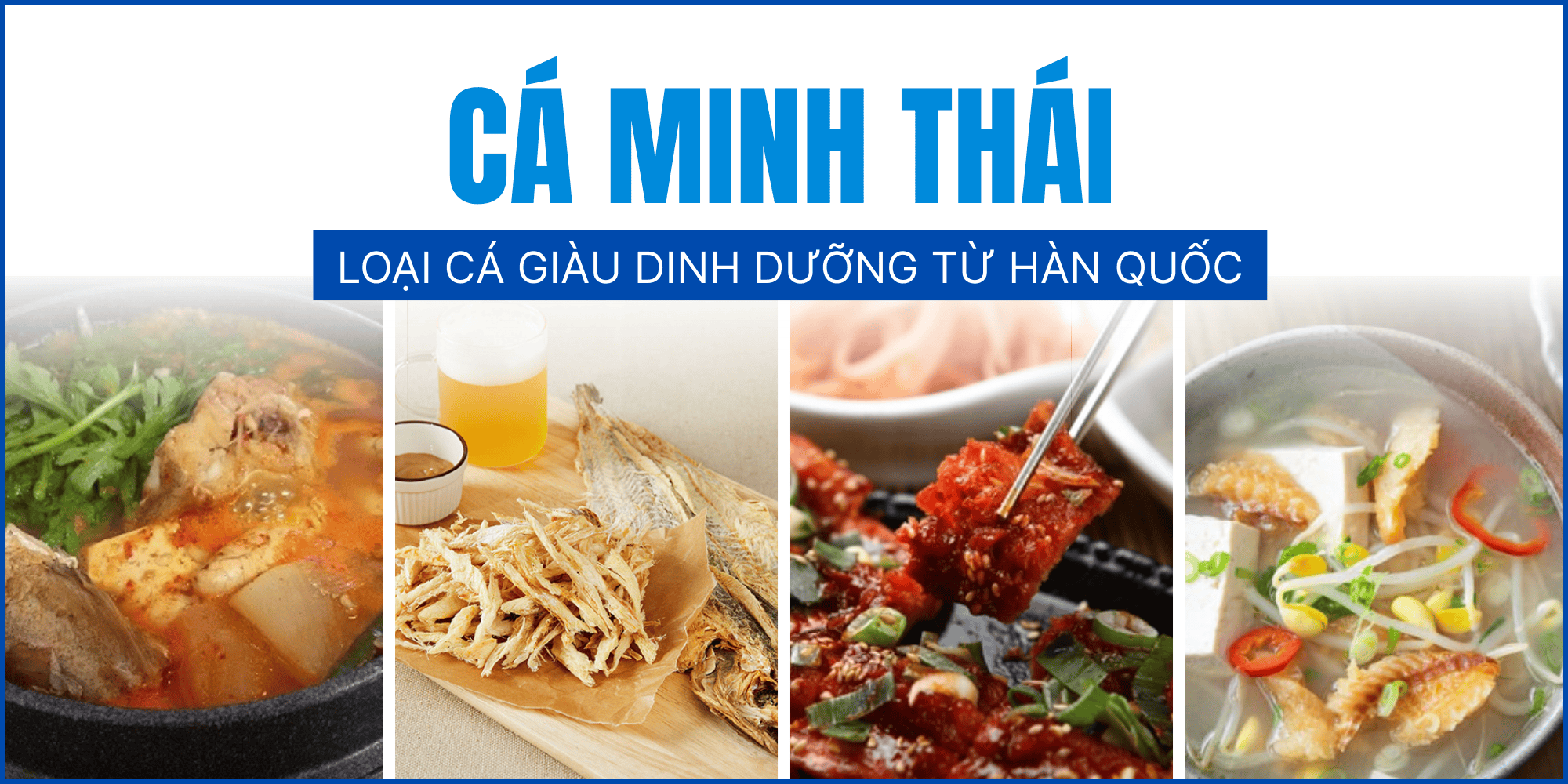 Tất tần tật về Cá Minh Thái: Loại Cá Giàu Dinh Dưỡng Đến Từ Hàn Quốc