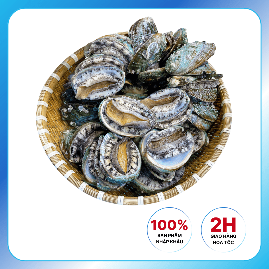 Bào Ngư Hàn Quốc Tươi Sống Nhập Khẩu Hàn Quốc Chế Biến Nướng, Cháo, Hầm 1Kg