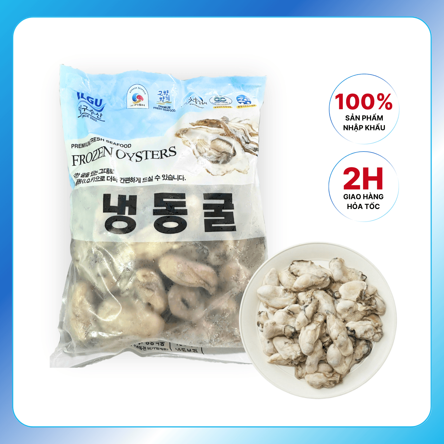 Hàu Sữa Cấp Đông Hàn Quốc IQF  – Frozen Oysters IQF 1050g