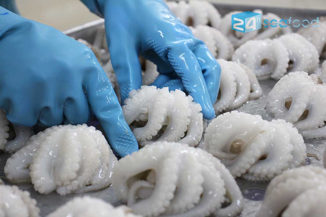 Bạch Tuộc Đông Lạnh Giá Rẻ: Mua Đúng Để Vẫn Ngon – Sạch – Lời