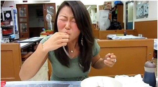 Ăn bạch tuộc sống – món “thách thức”: ngon thật hay chỉ để… liều?