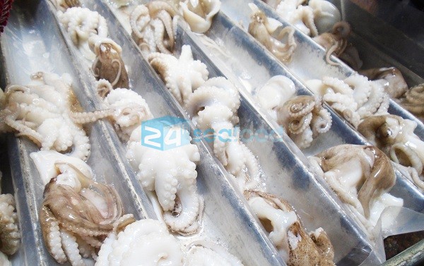 Giá Bạch tuộc Hôm nay (Cập nhật: 28/09/2025)