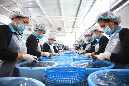 Dịch Vụ Cung Ứng Thủy Hải Sản Cho HORECA & Đại Lý: 24hSeafood