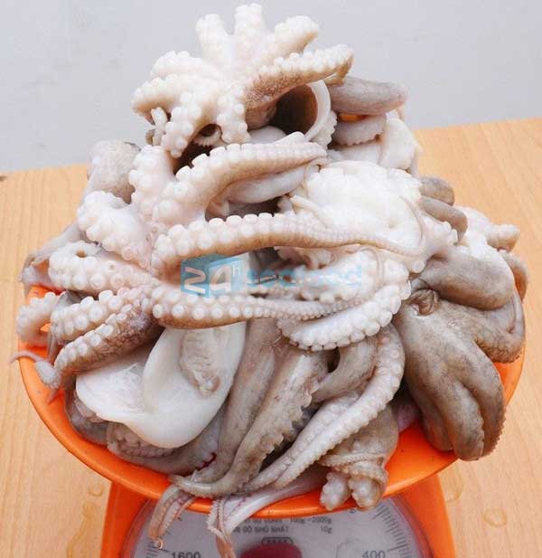Giá Bạch Tuộc Hôm Nay Bao Nhiêu? Bảng Giá 2026 Mới Nhất Từ 24hSeafood