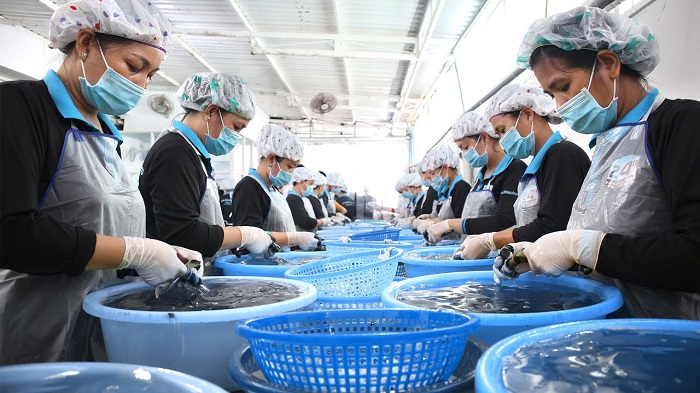 Giá hải sản hôm nay