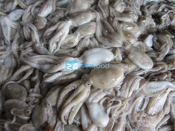 Cách Làm Bạch Tuộc Sao Cho Sạch, Giòn và Không Bị Tanh