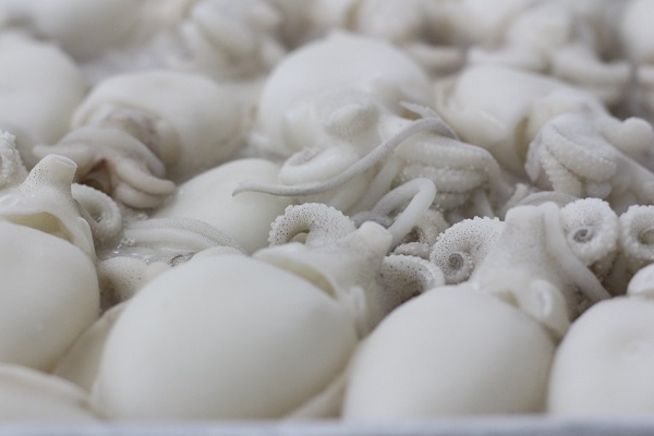 Thủy hải sản đông lạnh ở Việt Nam: Toàn tập A–Z cho người mua