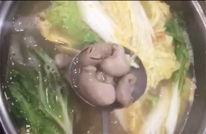 lẩu bao tử cá basa nhúng mẻ