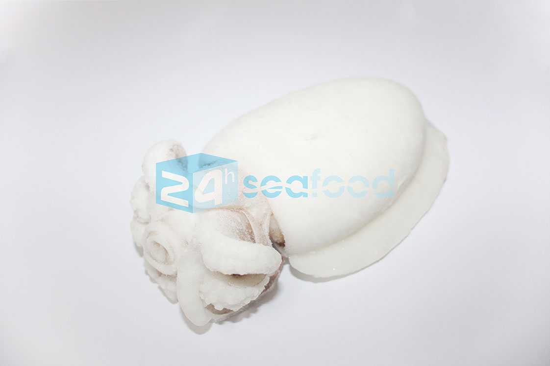 sản phẩm mực nang đông lạnh chất lượng cao của 24hseafood