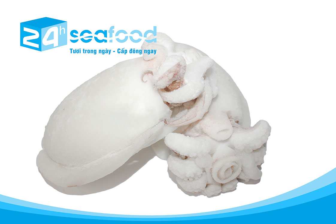 mực nang đông lạnh size vừa của 24hseafood