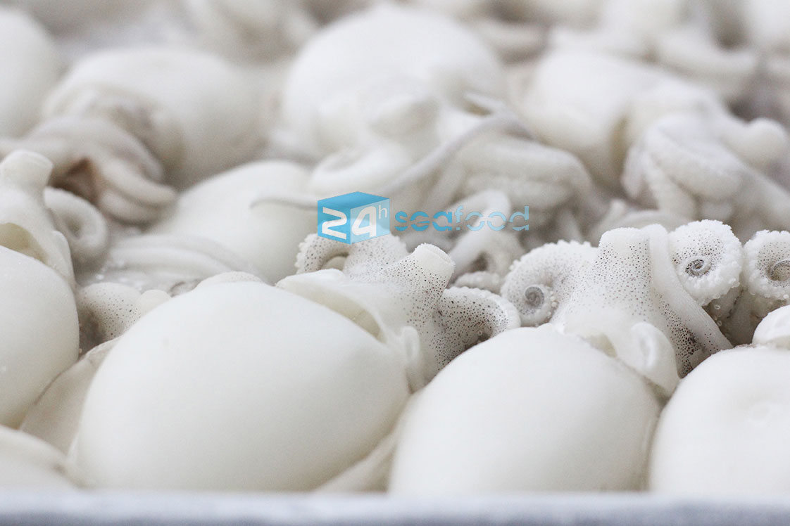 mực nang nhỏ (mực nút) trong quá trình đông lạnh, cấp đông theo tiêu chuẩn IQF