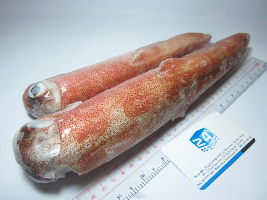 sản phẩm mực ống loại to đông lạnh chuẩn IQF của 24hseafood