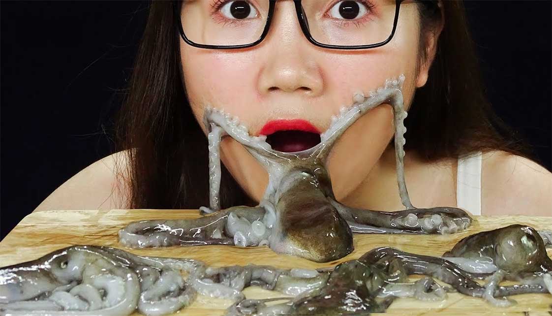 ăn bạch tuộc sống sẽ như thế nào?