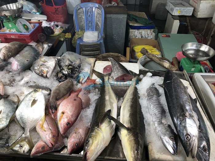 Ăn cá biển nhiều có tốt không