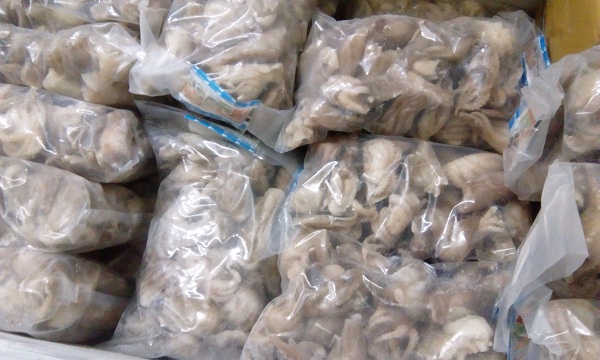 bạch tuộc bạch tuộc