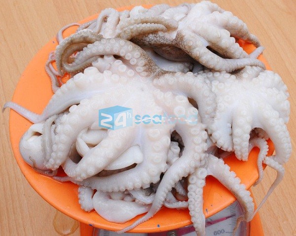cách lựa bạch tuộc ngon