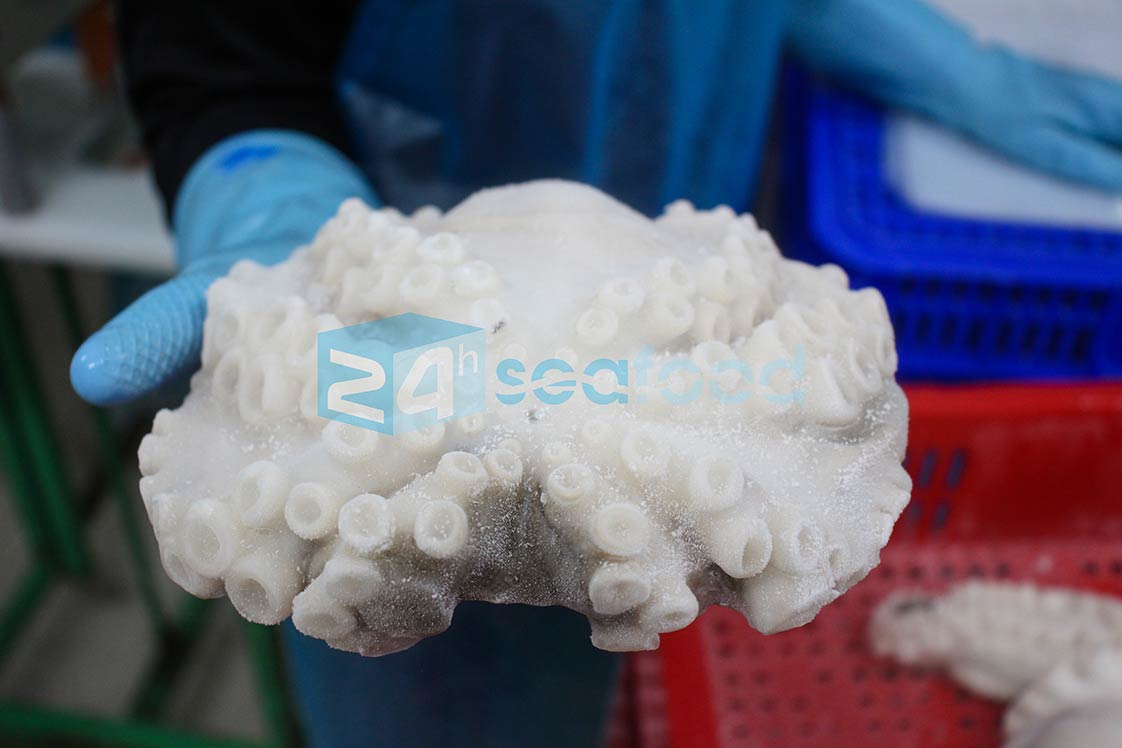 sản phẩm bạch tuộc đông lạnh (size lớn) chuẩn IQF của nhà máy chế biến hải sản 24hseafood