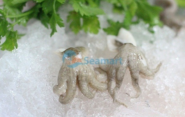 bạch tuộc giá bao nhiêu