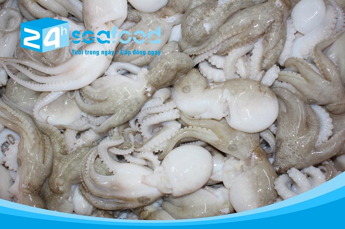 bạch tuộc tươi làm sạch