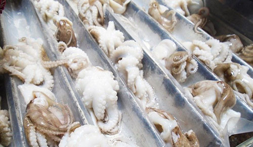 Quy Trình Đông Lạnh Bạch Tuộc Tại Nhà Máy 24h Seafood