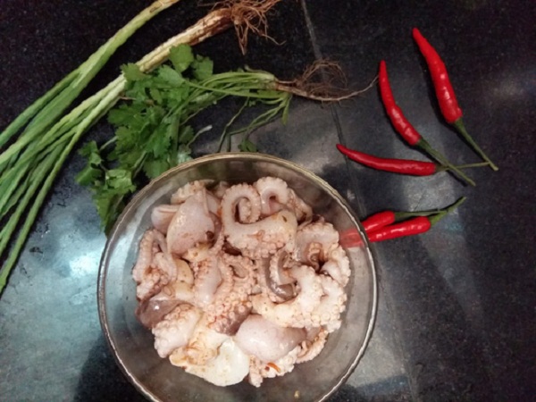 bạch tuộc