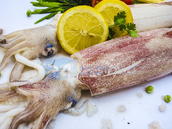 mực ống giá bao nhiêu