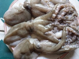 btuoc tuoi