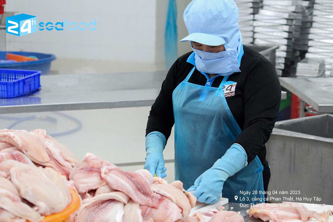 nguyên liệu cá basa được chế biến tại nhà máy công ty 24hseafood